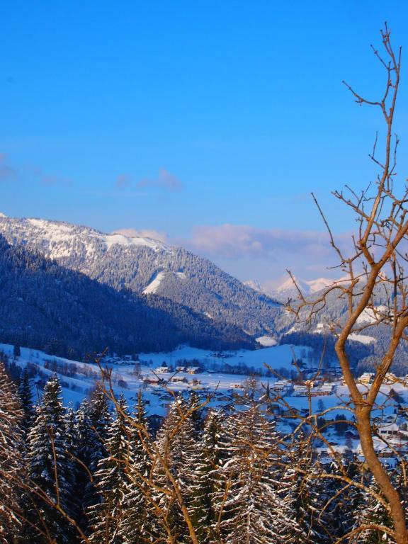 Appartment Kainhofer Sankt Martin am Tennengebirge Eksteriør bilde